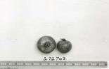 Click for 5 image(s) for this accession. FRUIT